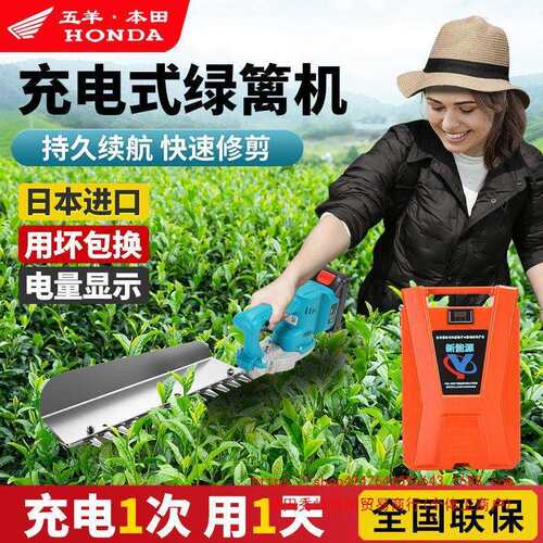 电动绿篱机充电式锂电单手修枝剪园林绿化家用球型茶树修剪机无线