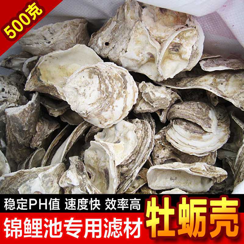 蚝壳牡蛎壳大型鱼池鱼缸天然过滤材料锦鲤鱼池滤材稳定PH值蚝壳