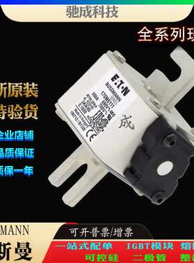 巴斯曼170M5108 170M5109 170M5110 现货供应厂价直供 特种保险丝