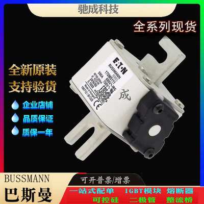 巴斯曼170M5108 170M5109 170M5110 现货供应厂价直供 特种保险丝