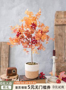 依仿真红枫内绿植装室饰42174花秋天叶客厅电视斯柜桌面橙色树小