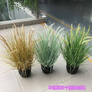 仿真狗尾巴草田GQZ芦草绿植物农影楼园苇水草橱窗家乐装饰绢花道