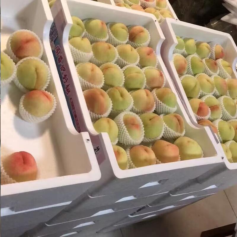 葡萄杷泡沫托盘草莓箱黄桃周泡沫箱托泡盘沫水蜜枇BVT桃芒果水果