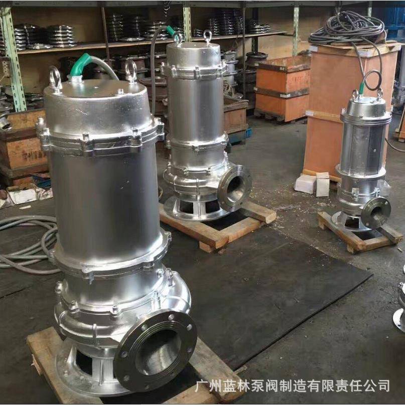 304不锈钢潜污泵28735Q隔0爆W600-9型BT4潜水排污泵