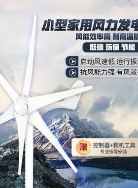 风0力发机家用1300W3叶2v24电v22v磁小永其他