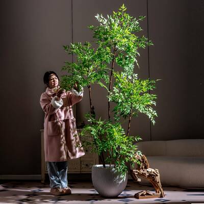 仿地真植物南天竹落花树假植盆栽大型轻奢客厅室内NTX-5214仿生绿