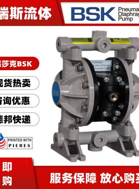 BSK气B动隔膜泵BP06PP-9P9-BP15PP-PTTBP06PP-P41-BPBB1耐腐蚀污