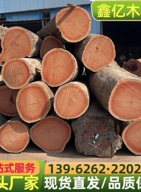米子兰 家具料栏杆料 米子兰原木 米兰红坚红檀 米子兰干板材