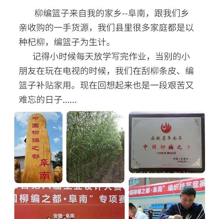 柳编水F96MTSJ6果果篮藤编花篮采篮水店品包摘盒鸡蛋篮子手提铁装