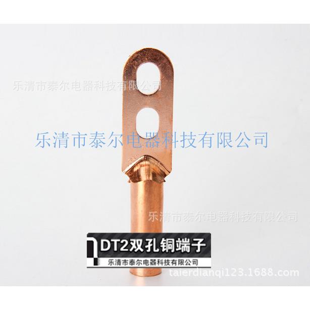 接线端子双孔铜鼻子DT20-30铜平方铜鼻子双孔接线9676端子DT-63S