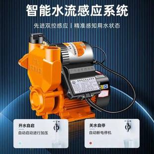 能BGS自凌霄AK自型家用吸泵增压泵智能全自动来水井水太阳抽水泵