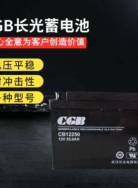 武汉长光CGB蓄电池CB12250 12V25AH UPS、EPS电源直流屏铅酸电瓶