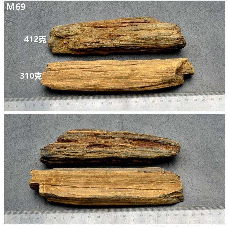 高档黑化龙江木石冰河时期天树化玉硅化木石摆件原观赏然石标本礼