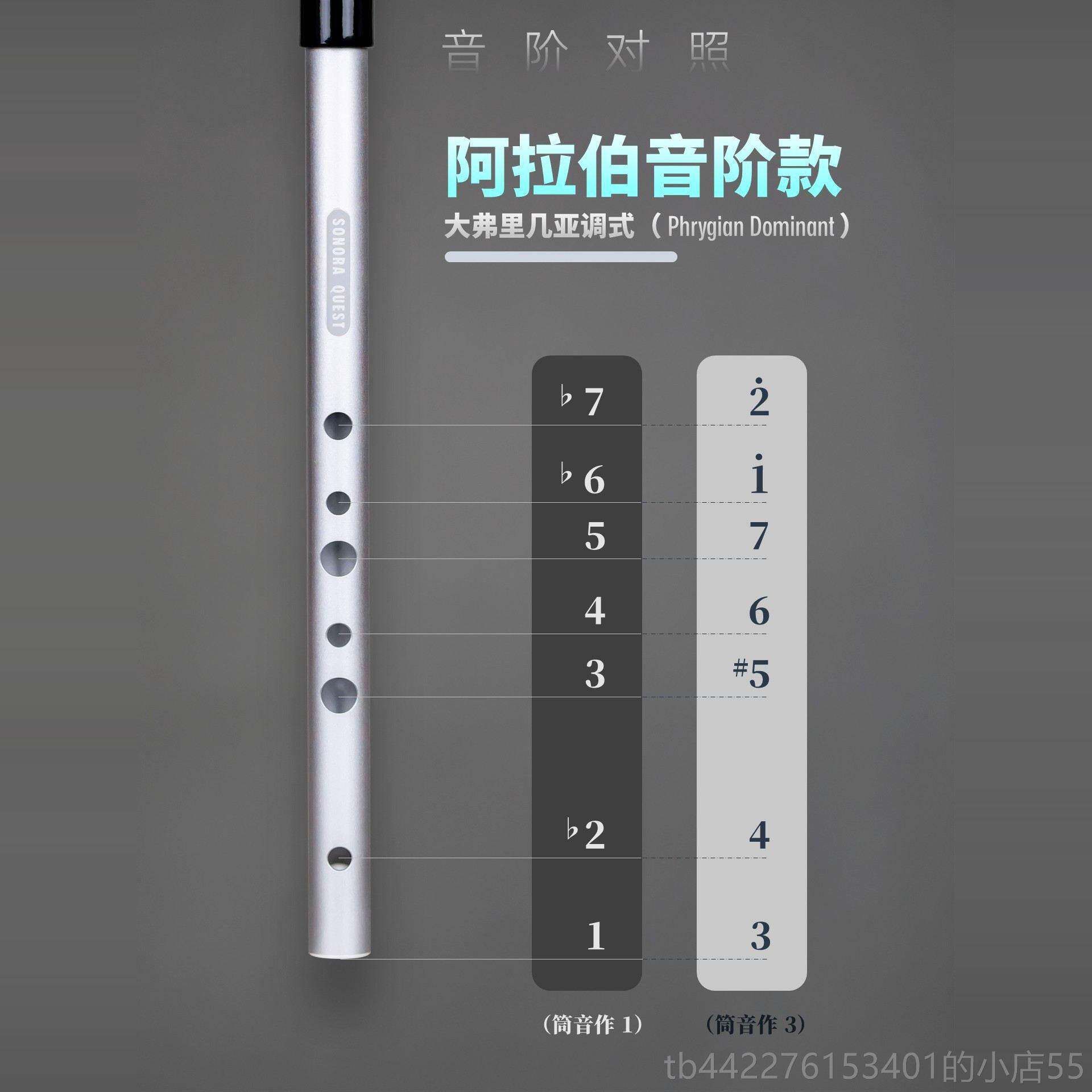 正品SONORA QUETS哨笛阿拉然伯音阶调式风格D自大调省高气抗压亢