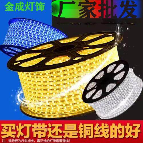 LED灯带白光灯带暖光高亮工程灯带户外防水灯带220v透镜小钢炮