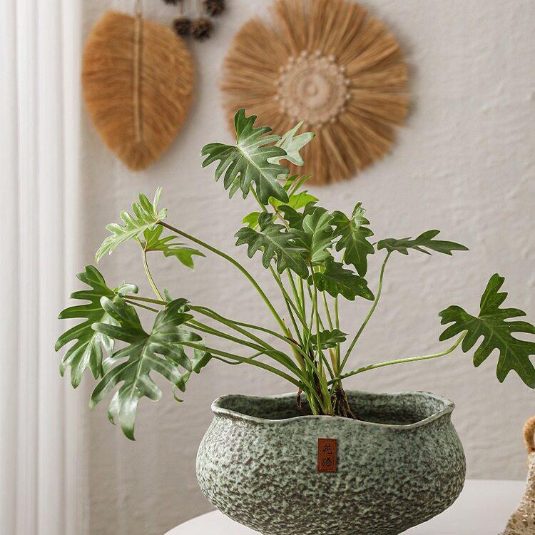 陶瓷花盆禅意苔藓盆栽轻奢级感创意三角梅蝴蝶兰专用花器盆景盆