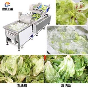 工厂直销WA-1000果蔬气泡清洗机生菜清洗去农残去虫卵洗菜机