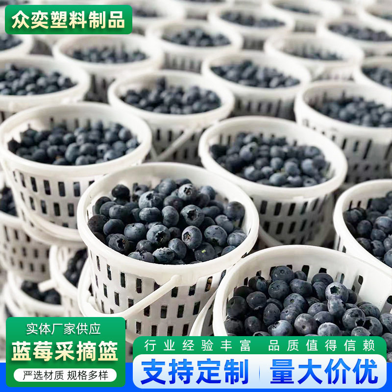 新款白色塑料采摘篮加厚手提大棚草莓蓝莓采摘筐轻巧便携