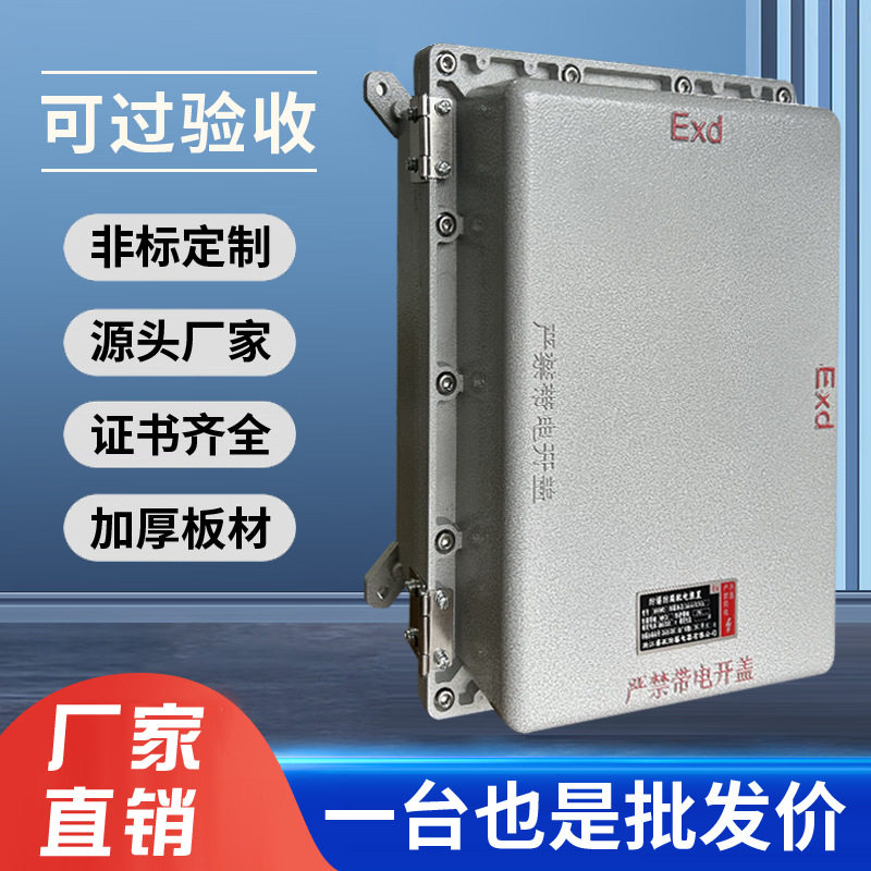 防爆配电箱接线照明动力检修防仪表开关按钮插销控制箱不锈钢碳钢