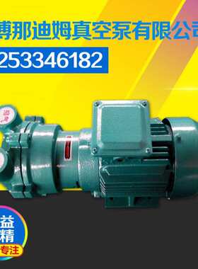 山东真空泵厂家专业供应2BV2061(1.45KW)水环式真空泵 水环真空泵