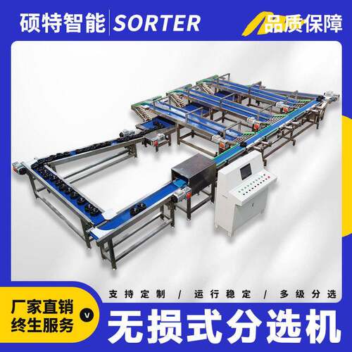 皇冠梨称重分拣机苹果无损内部检测选果机蜜桃托盘式重量分选机