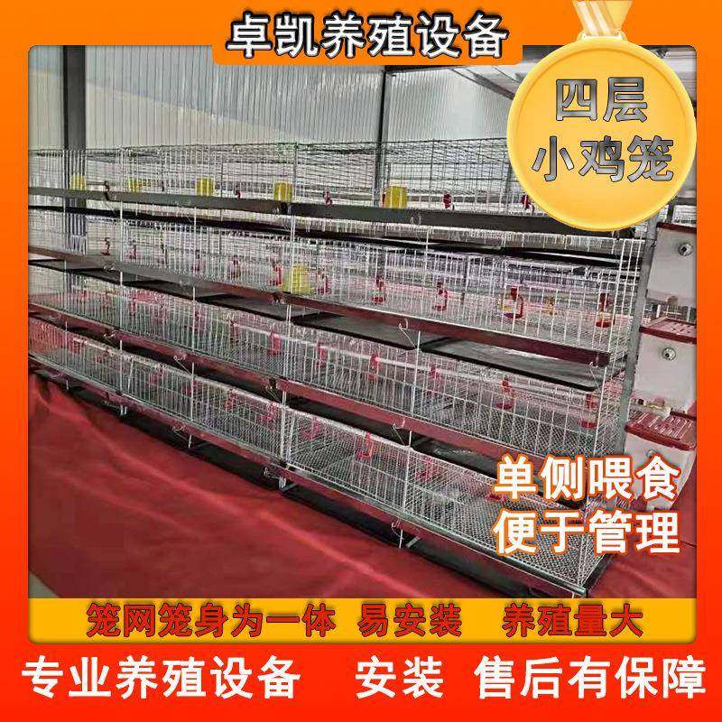 四层育雏笼小鸡青年鸡立式笼网支架一体加粗加密镀锌材质厂家直发,畜牧/养殖物资,特种养殖设备,淘宝优惠券,粉丝福利购,淘宝优惠卷
