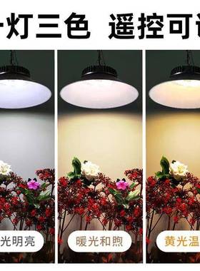 太阳能亮灯户外吊灯庭院灯家用超室防水花外园阳台门口51496明照