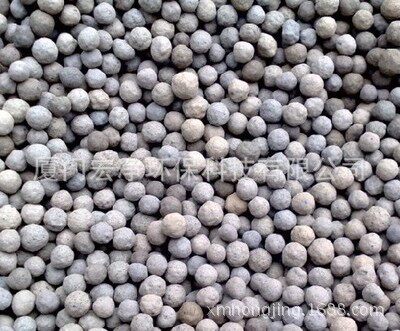 Biological ceramsite filter 生物陶粒滤料