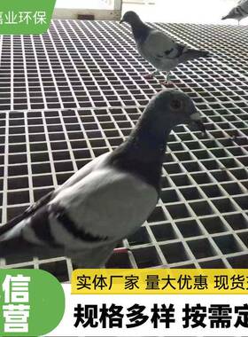 生玻璃格栅光伏产道板护树篦子走网格板钢洗车房地格TXJ栅地网