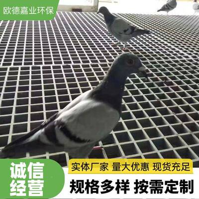 生玻璃格栅光伏产道板护树篦子走网格板钢洗车房地格TXJ栅地网