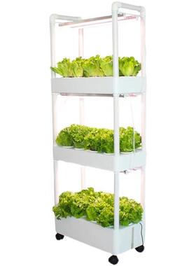 无土栽培家庭学校阳台种植机水培设备种菜机DIY全光谱立体种植架