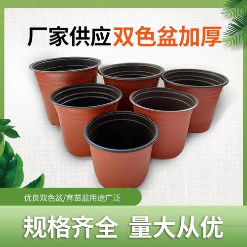 育苗盆双色盆加厚一次性软塑料花盆育苗杯多肉花盆pp双色花盆