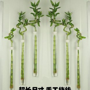创意田园壁挂转运竹水培麻绳玻璃花瓶工艺小花插挂件家居墙面装饰