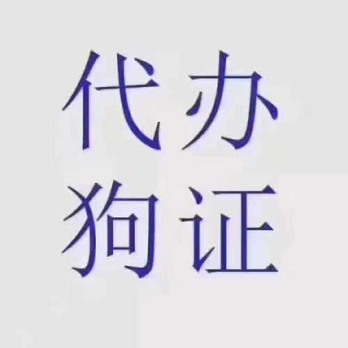 代办北京狗证办理北京犬证北京养犬登记证北京市通用狗证犬证