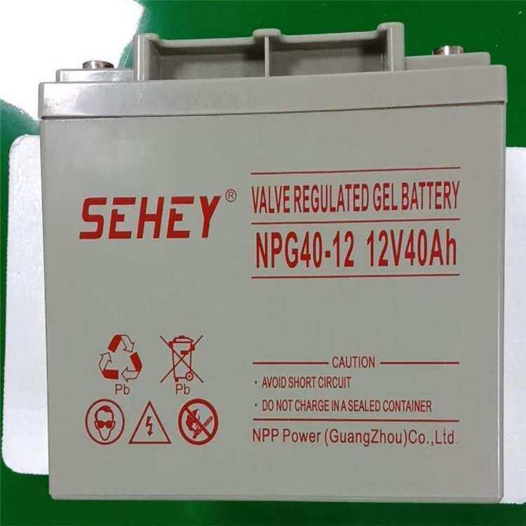 西力蓄电池NP40-12UPS直流屏12V40AH免维SEHEY太阳能EPS储能电源