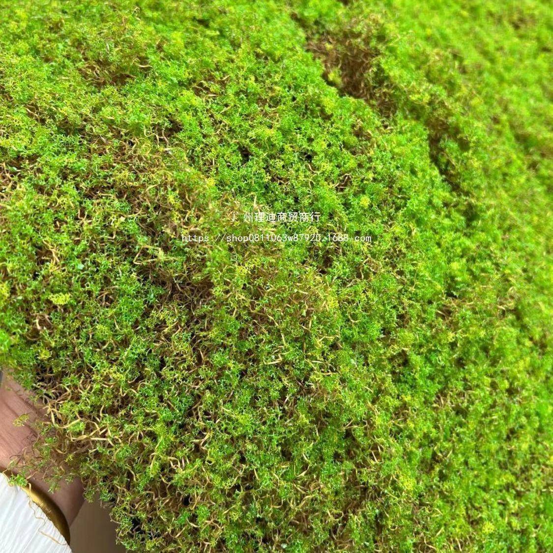新款曲丝仿真苔藓橱窗微景观人工造景绿植婚庆户外假草皮坪地毯