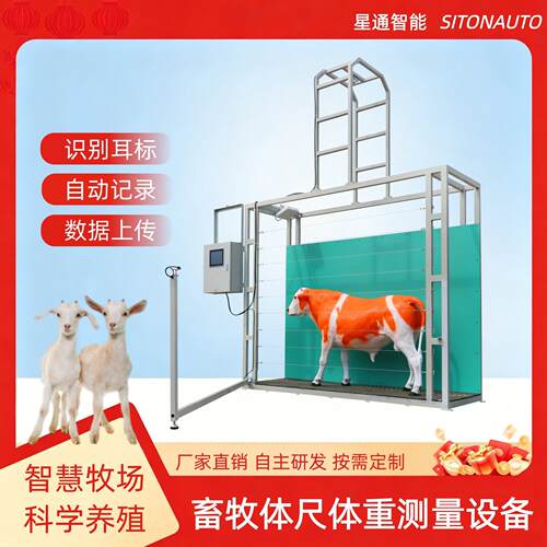 自动化牛羊体尺体重测量设备体体长无应激精准智慧牧场建设