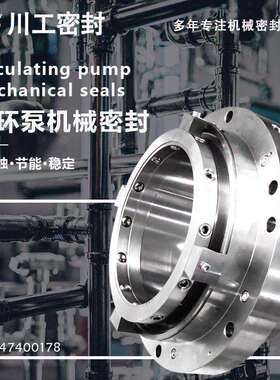 双端面机械密封离心泵 ZWQEMZ600-B2-650JMZWS-150/105 化工机封