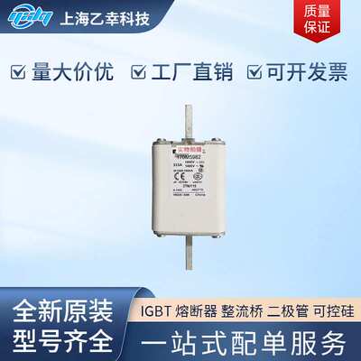 巴斯曼熔断器  170M5954 170M5955 170M5956 170M5957 170M5958