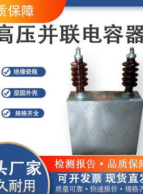 高压电容BAM BFM防护并联电容器 单相电容器高压高耐压高频