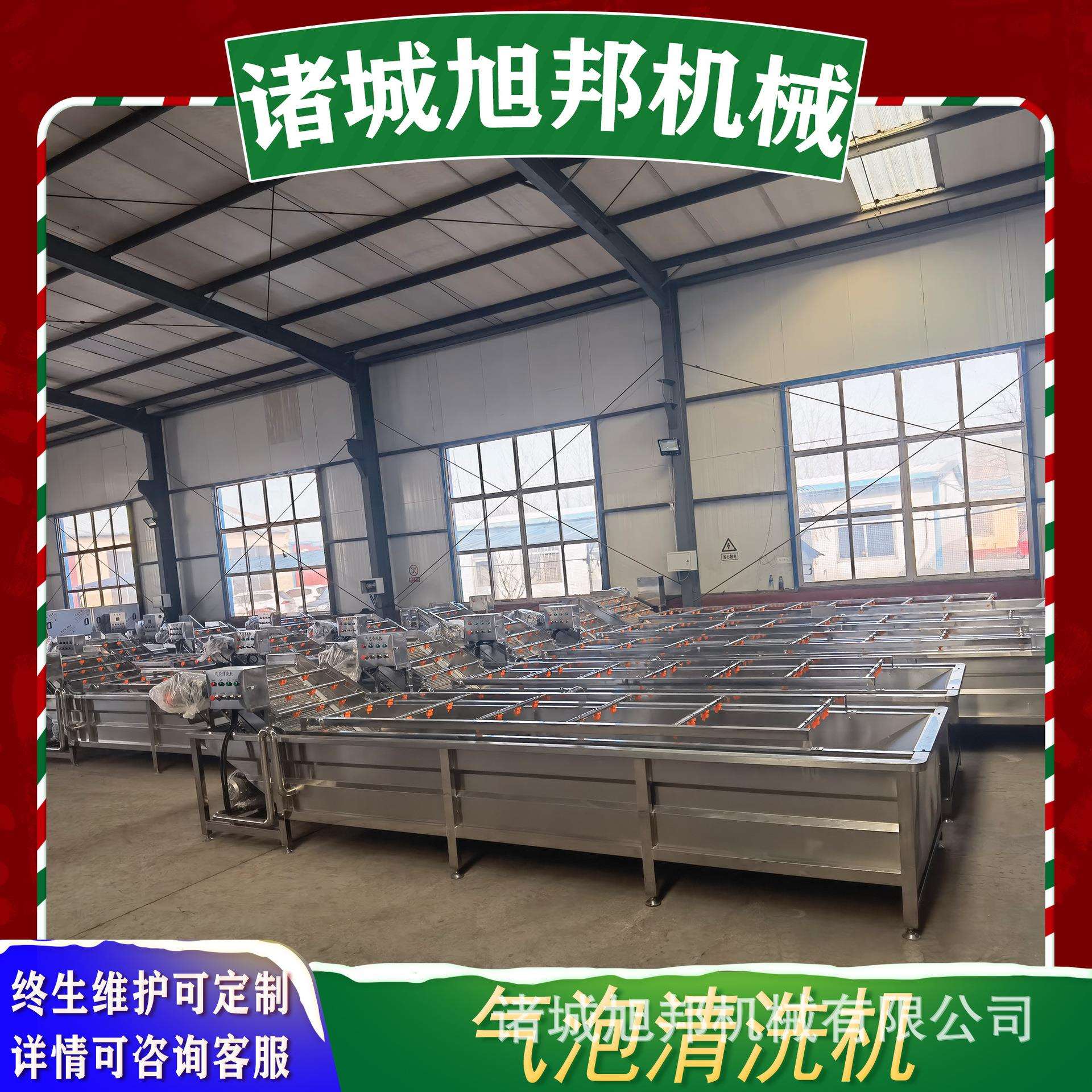 全自动喷淋式清洗机 青蟹气泡清洗设备t黑虎虾气浴式清洗机