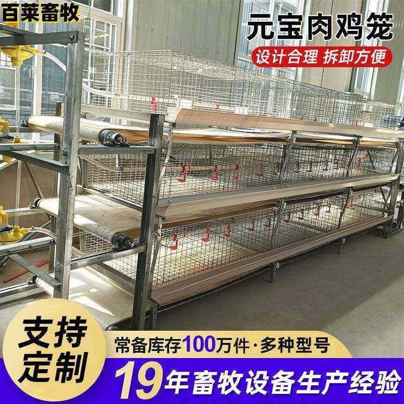 元宝肉鸡笼全自动化半自动立体鸡舍镀锌养殖养鸡可供国内外,畜牧/养殖物资,特种养殖设备,淘宝优惠券,粉丝福利购,淘宝优惠卷