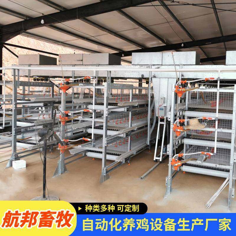 全自动层叠式养殖设备肉鸡笼蛋鸡笼自动化捡蛋机清粪机养鸡设备,畜牧/养殖物资,特种养殖设备,淘宝优惠券,粉丝福利购,淘宝优惠卷