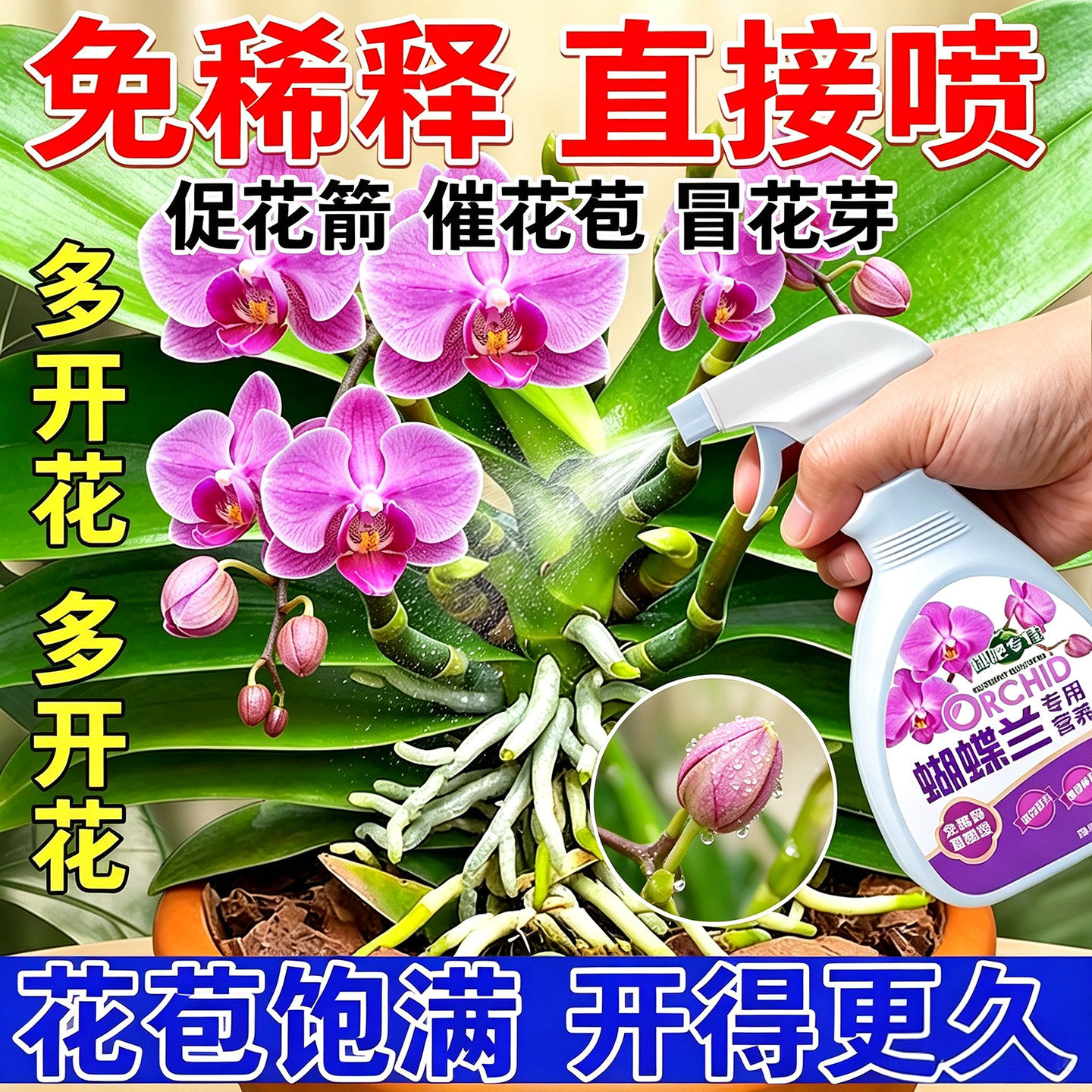 蝴蝶兰专用营养液盆栽直喷免稀释
