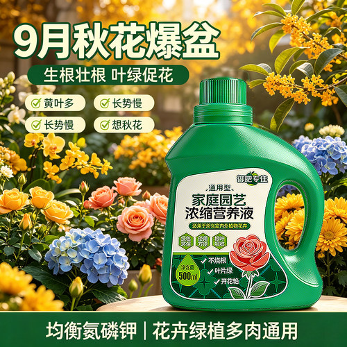 绿植通用浓缩营养液黄金榕鹿角蕨