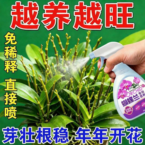 蝴蝶兰专用营养液促花箭速效开花