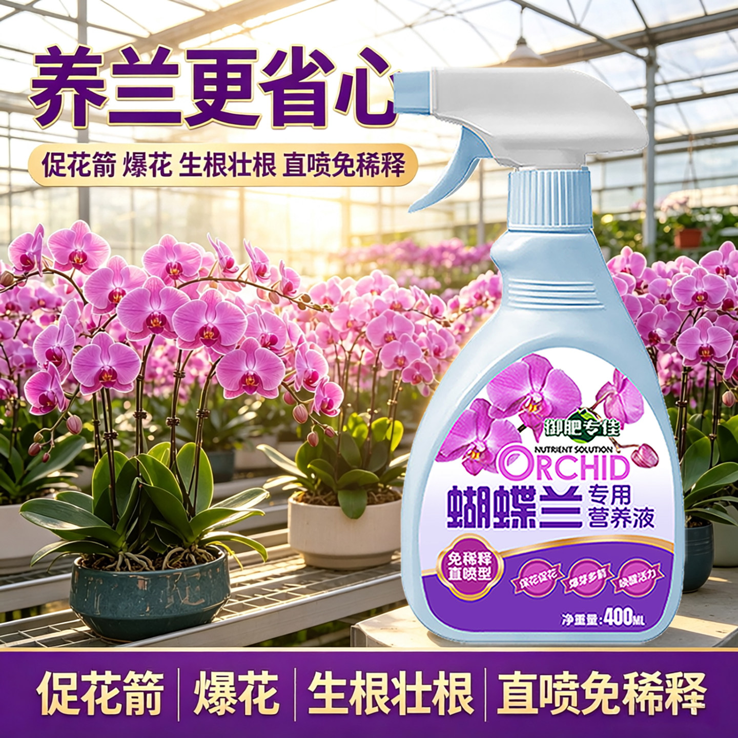 兰花营养液专用型生根促花