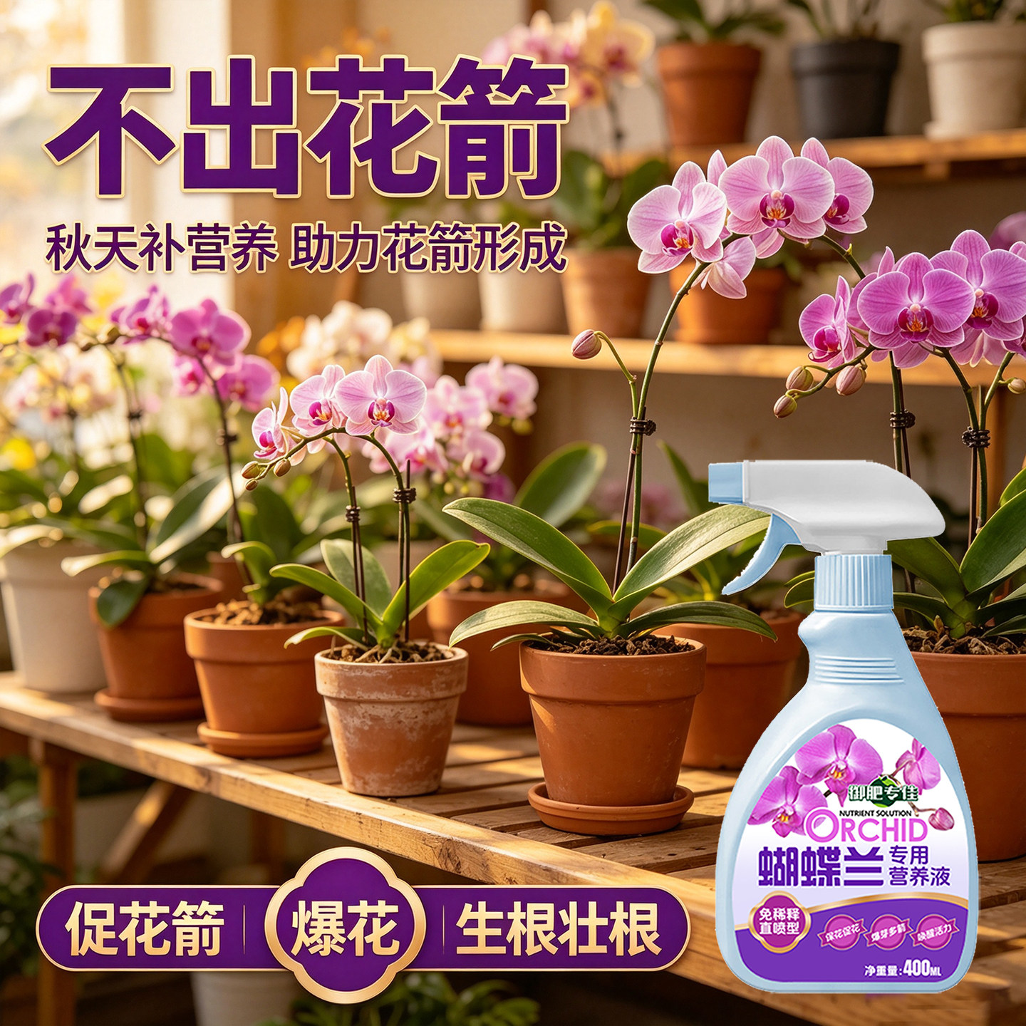 蝴蝶兰营养液专用型催花爆花