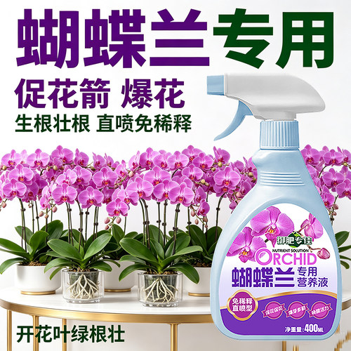 蝴蝶兰专用营养液抽箭开花