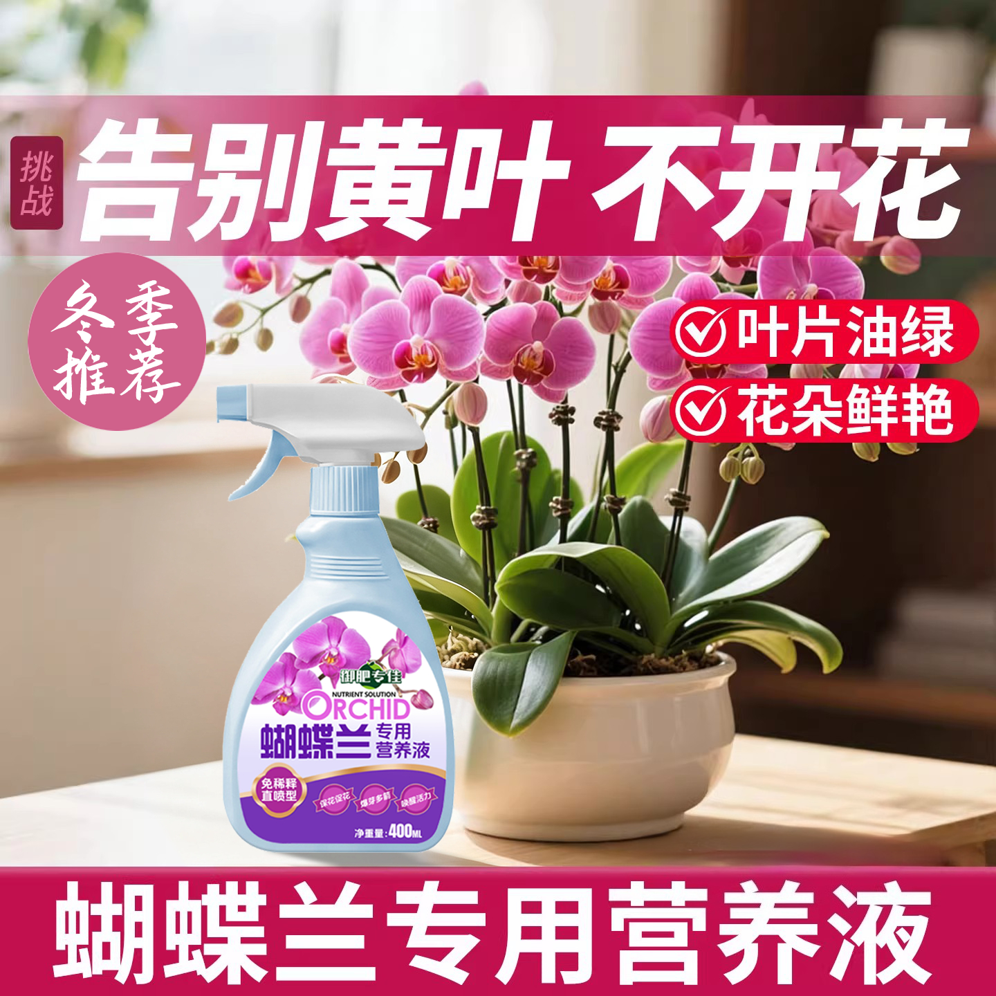 【园艺养植专用】蝴蝶兰专用营养液免稀释直喷促开花防黄叶